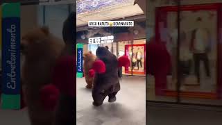 Urso Naruto & Bear Naruto 😅🤣 #humor #engraçado #fun