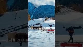 The world up  Handsome country Switzerland Amazing view۔ #Switzerland  #Short #Video #dubai_Vlogs