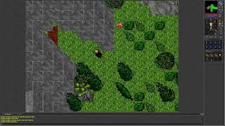 Tibia 7.26 (Level 17 Paladin kills First Dragon, shows of lag in the end)