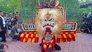 SOLAH PEMBARONG DADAK MERAK REOG PONOROGO KREBET JAMBON HORAUMOM KEREN#dadakmerak #reog #pembarong