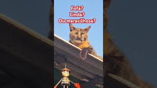 #gatosfofos #gateirosdobrasil #amogatos #gatosengraçados #vidadegato #viralvideo #gatos #cat#brasil