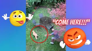 【FUNNY VIDEO】NEIGHBOUR TRY TO CAPTURE HIS DOG WHO WANDERED INTO MY YARD🤪🤣(DOGS, CATS AND ANIMALS)