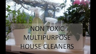 MINIMALIST NON TOXIC HOUSE CLEANER