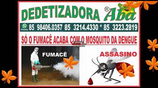 DEDETIZAÇÃO CONTRA DENGUE MARANGUAPE (85) 3223.2819