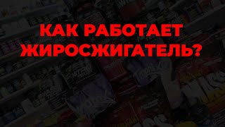 Как работает жиросжигатель?