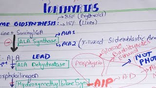 Porphyria [Heme Biosynthesis] Part-2 Lippincott Biochemistry