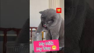 "Cuteness Overload: Milk Time Magic: This Cat's Paw-some Technique Will Melt Your Heart! 😻✨"