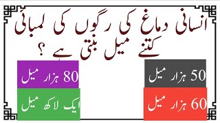 Urdu Islamic Quiz /Islamic Question and Answer in urdu /Urdu Paheliyan.common sense.gk in hindi