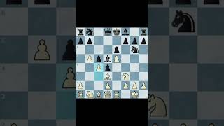 Sicilian Defense: Alapin Variation / Beautiful Combination