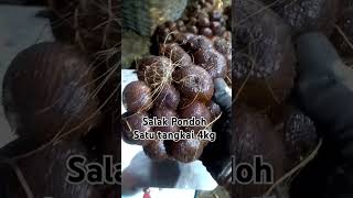 Salak Pondoh super satu tangkai 4kg #shorts