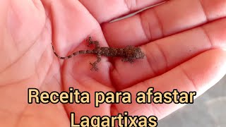 Dicas: Receita  para afastar Lagartixas e fuga de minhocas