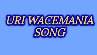 Uri Wacemania Song Lyrics Video