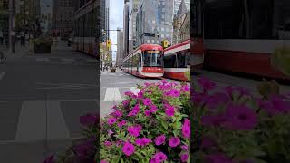 Centro de Toronto, Canadá, muito bonito. #toronto #town #centro #transporte