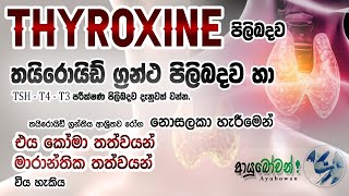 Thyroxin  පිලිබදව | තයිරොයිඩ් ග්‍රන්ථිය පිලිබදව|සියලුම දේ  දැනගන්න|ආයුබෝවන්#Tsh #Thyroxine #Thyroid