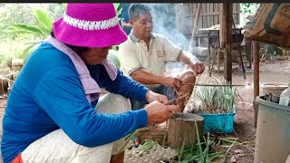 ADA ORANG NAK BELI SERAI ISTERI AKI NANGKA // JOM KITA AKTIVITI AKI NANGKA DAN ISTERI BI KEBUN //