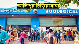 আলিপুর চিড়িয়াখানা ||  Creative Idea ||  Alipore Zoo ll 2022  Vlog 3