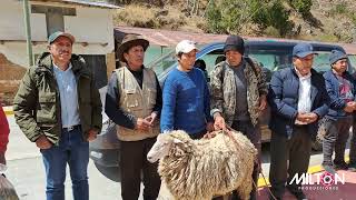 HOMENAJE EN HUARI ANTONIO GOMEZ (+)