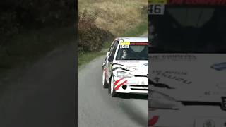 WRC Rally 2019 || Crash and Mistakes 19#shorts