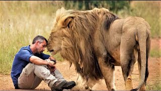 These Animal Friendships With Humans Is Astonishing