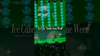 Ice Cube "Smoke Some Weed" [Krush Groove Fest 24'] @IceCubeCubevision