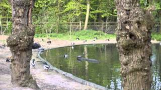 Der Tannenbusch in Dormagen im Frühling