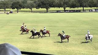 Polo game in The Villages Florida, horses