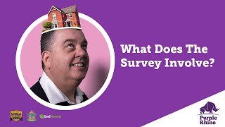 What Does The Survey Involve?  - (purple-rhino-co-uk, 01233 550100)