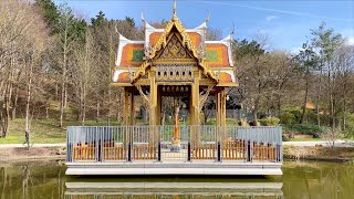 Thai-Tempel & japanischer Garten mit Kirschblüten (in 4K)