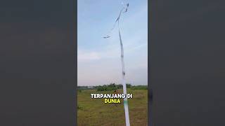 Ekor Layangan 15 Meter