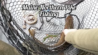 Maine Northern Pike Fishing May 2022