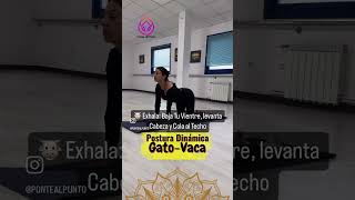 🌟✨ Descubre la Magia de Gato/Vaca en Yoga ✨🌟🕺💖 #yoga #yogapractice #yogagirl #espaldasana