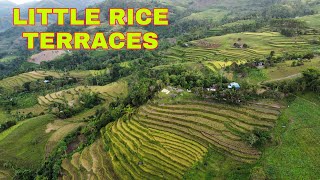 LITTLE RICE TERRACES SA SITIO BULI, BRGY. BAGONBON, SAN CARLOS CITY, NEGROS OCCIDENTAL