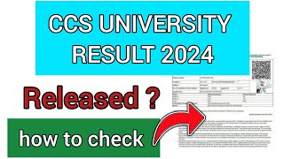 CCS University Result 2024 | How To Check CCS University Result 2024