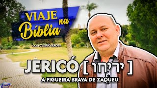 JERICÓ [ יְרִיחוֹ ] - A Figueira Brava de Zaqueu