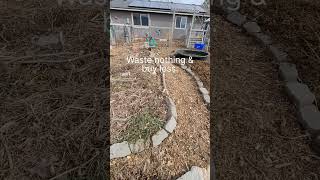 February 10th garden #urbanhomesteading #zerowaste #smallspacegarden #permaculture