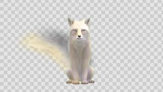 Head + tail moving animation #wildcraft