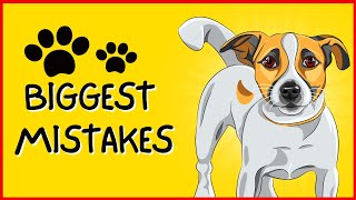 10 Most Common Mistakes Dog Owners Make