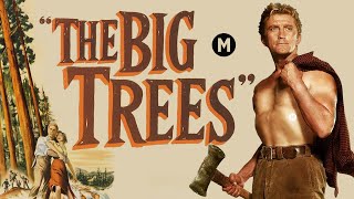 Floresta Maldita (1952) - Legendado 🇧🇷 - The Big Trees - Filmes Clássicos - Faroeste