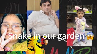 SNAKE IN OUR GARDEN😱| vegetables seed lagae #mostviral#goviral#funny#trending#Snake#lovebirds#Sister