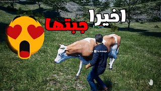 محاكي المزارع #4 جبت اول بقرة Ranch Simulator