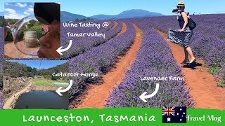 Tasmania Trip - 3 days in Launceston - Travel Vlog Jan 2017