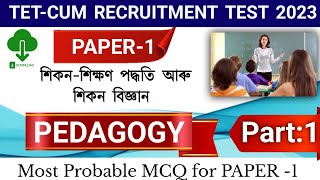 Tet Cum-Recruitment Test 2023 | Assam High school Tet 2023 | assam high school tet pedagogy