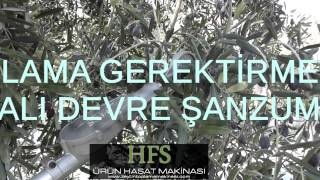 HFS Flicker | Zeytin Toplama Makinası 2