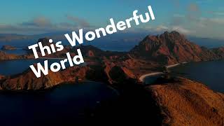 The Wonderful World