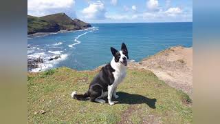 Crackington Haven Bude Cornwall