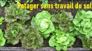 Potager sans travail du sol