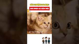 Mèo sa mạc ăn thịt cả rắn độc #trending #tintuc #khampha #giaitri #funny #yeah #reviewphim