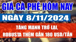 Giá cà phê hôm nay 8/11: tăng mạnh trở lại, Robusta thêm gần 180 USD/tấn