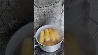 THE BEST SWEET CORN