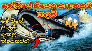 ලෝකයේ තියන භයානකම පාලම් | The most dangerous bridges in the world | Mnim studio